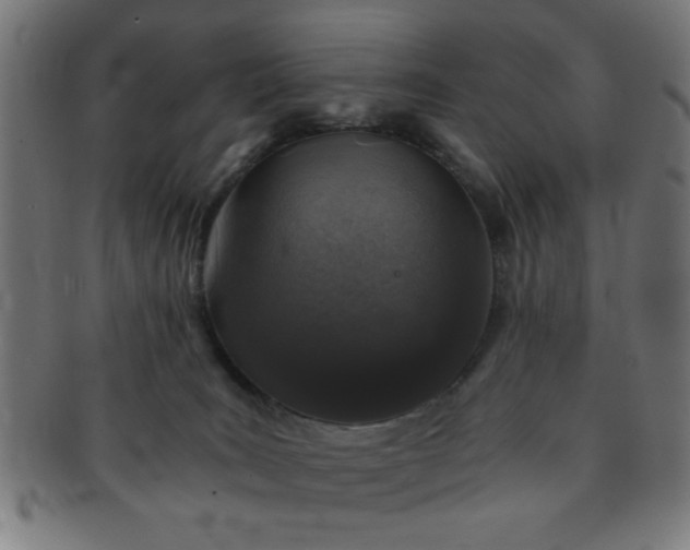 X0000091340035200708241233