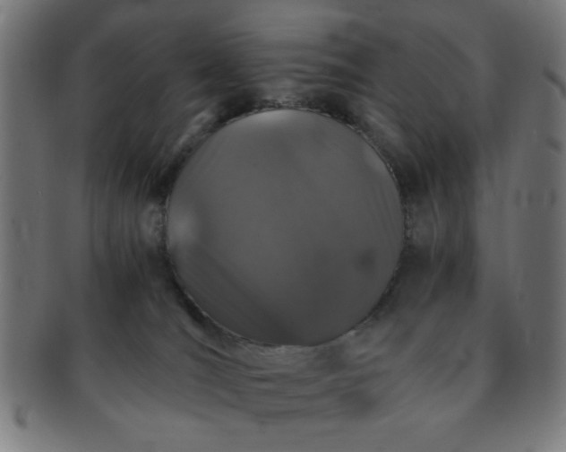 X0000091340036200708241233