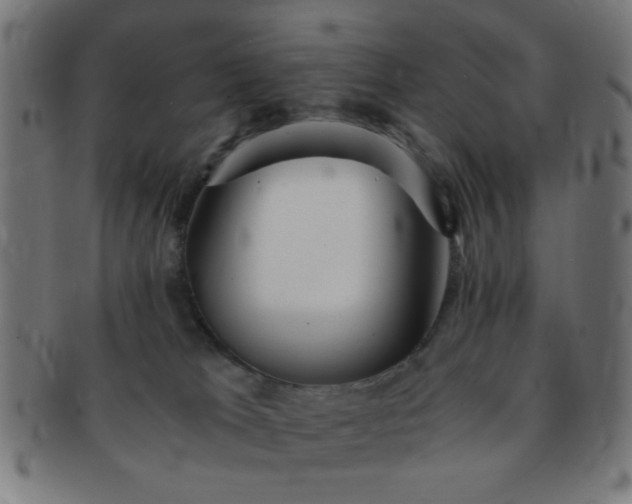 X0000091340037200708241233