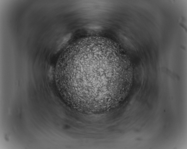 X0000091340038200708241233