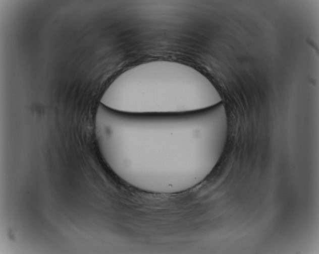 X0000091340040200708241233