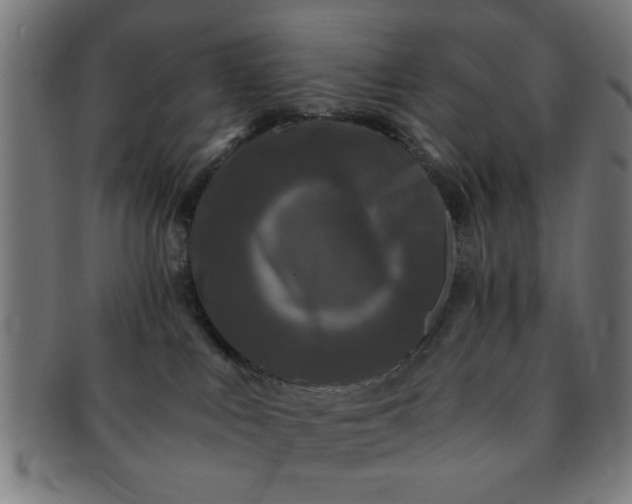 X0000091340043200708241233