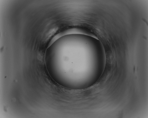 X0000091340044200708241233