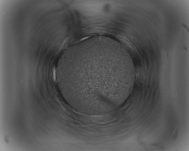 X0000091340046200708241233