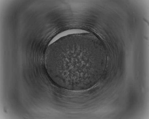 X0000091340048200708241233