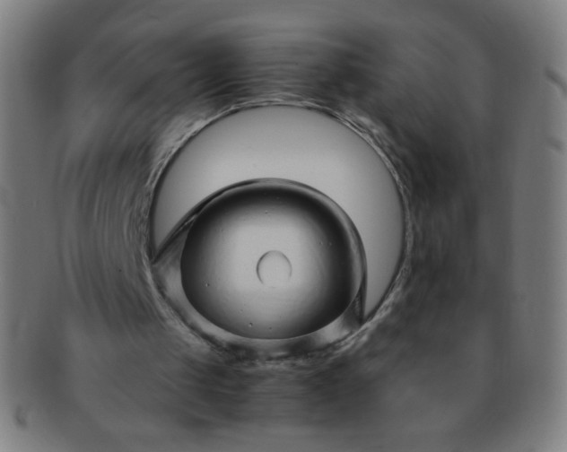 X0000091340049200708241232