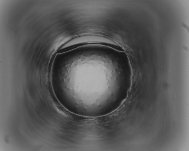 X0000091340050200708241232