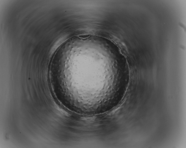 X0000091340051200708241232