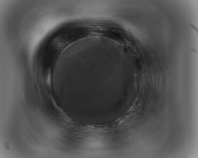 X0000091340052200708241232