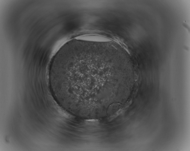 X0000091340053200708241232