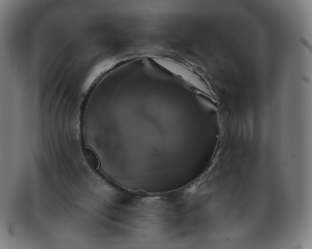 X0000091340054200708241232