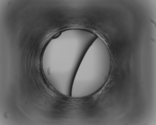 X0000091340055200708241232