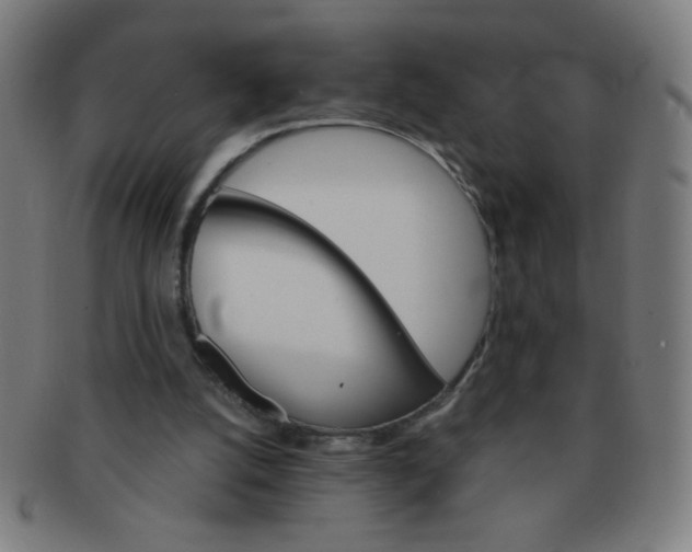 X0000091340056200708241232