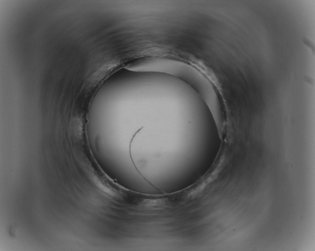 X0000091340057200708241232