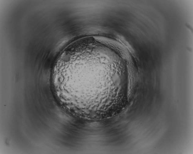 X0000091340058200708241232