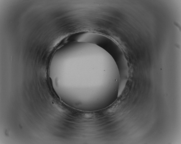 X0000091340060200708241232