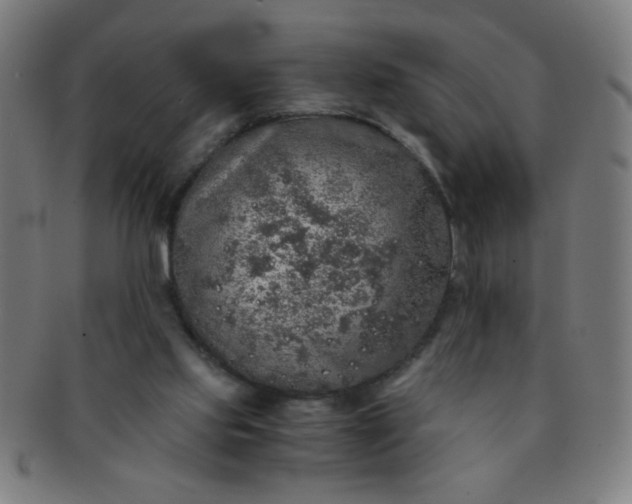 X0000091340061200708241232