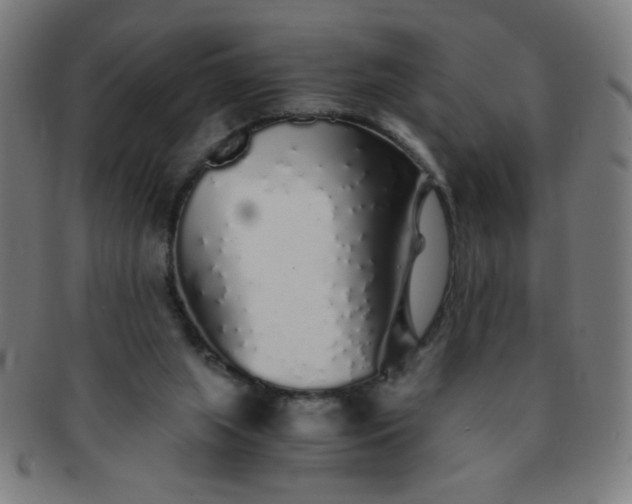 X0000091340063200708241232