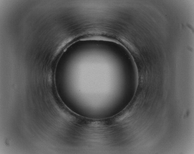 X0000091340064200708241232