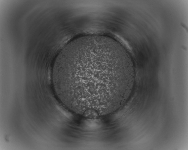 X0000091340065200708241233