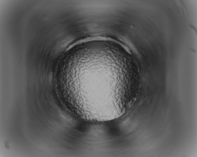 X0000091340066200708241233