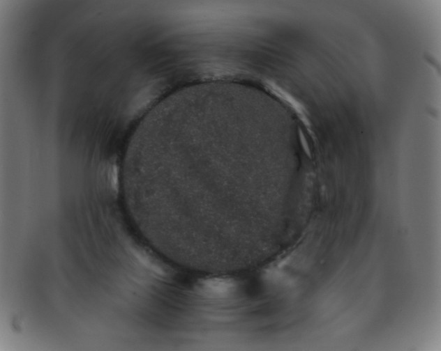 X0000091340067200708241233