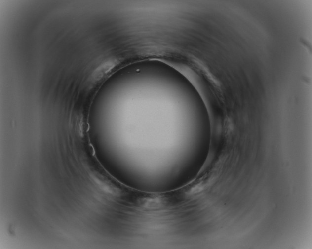 X0000091340068200708241233