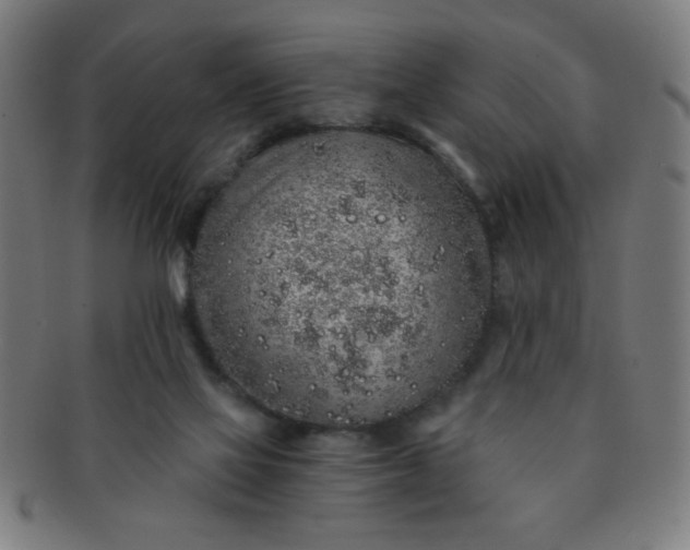 X0000091340069200708241233