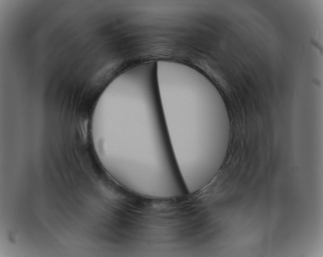 X0000091340070200708241233