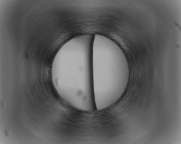 X0000091340071200708241233