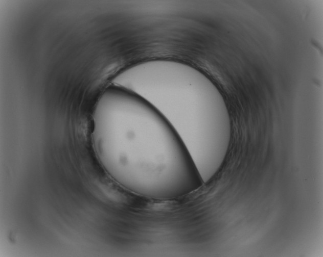 X0000091340072200708241233