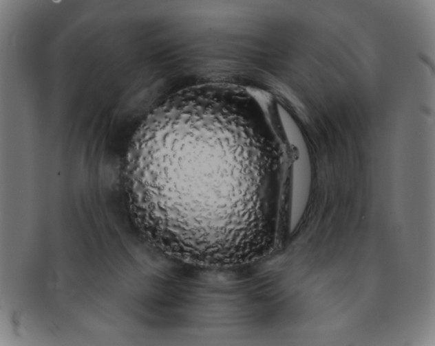 X0000091340073200708241233