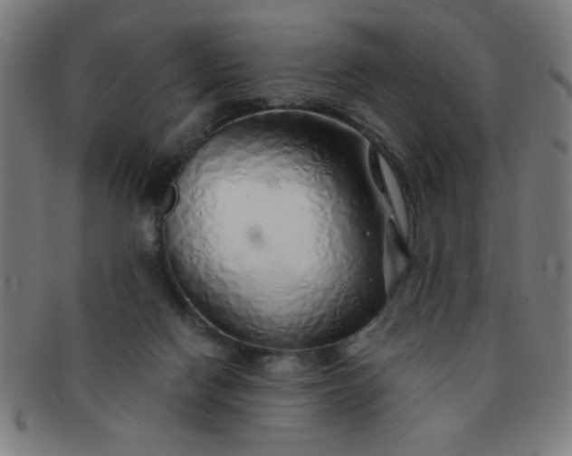 X0000091340074200708241233