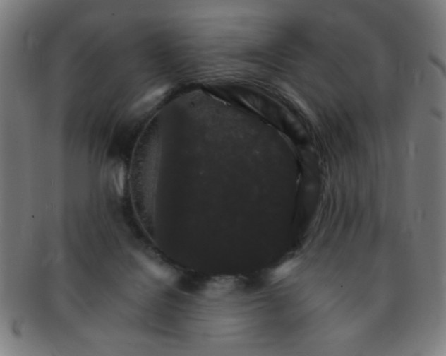 X0000091340076200708241233