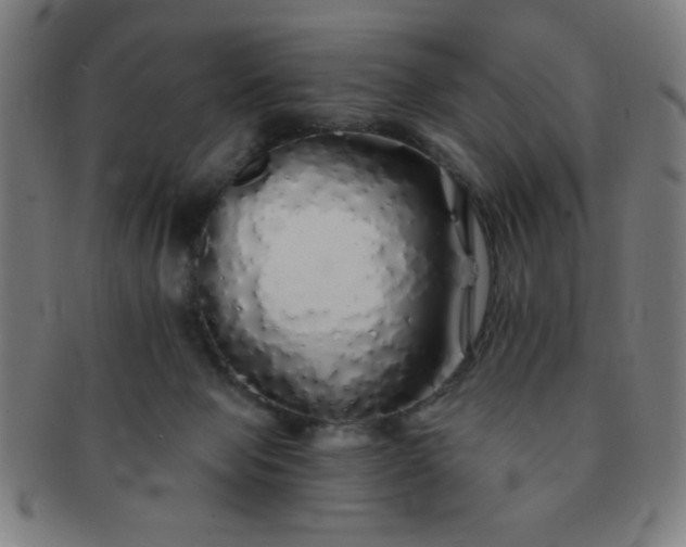 X0000091340077200708241233