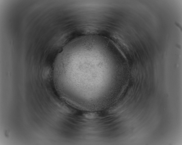 X0000091340079200708241233