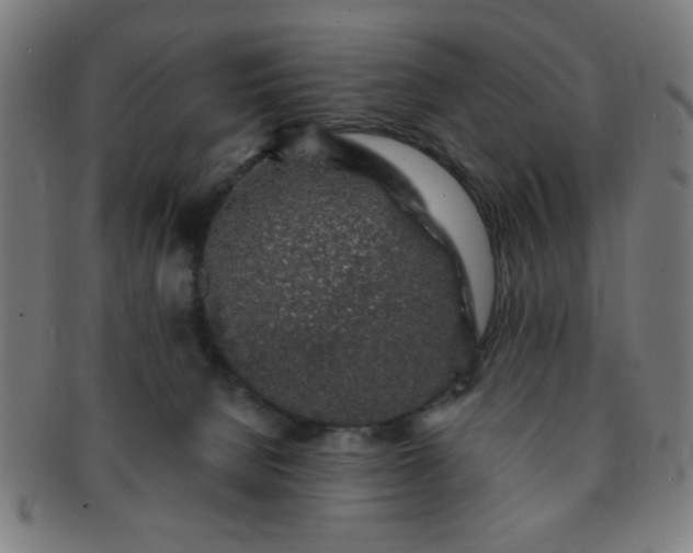 X0000091340080200708241233