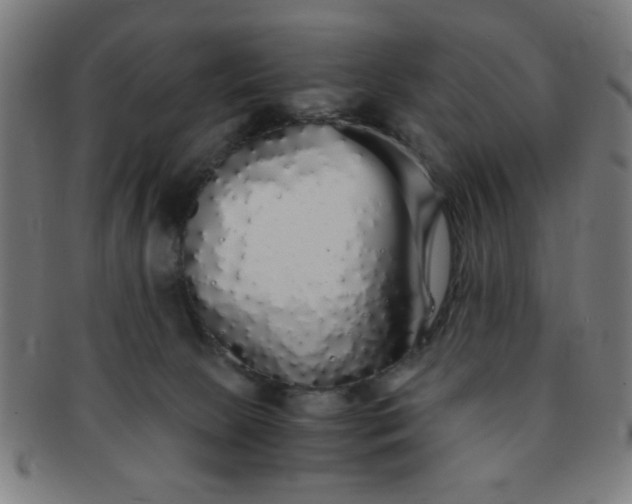 X0000091340081200708241233