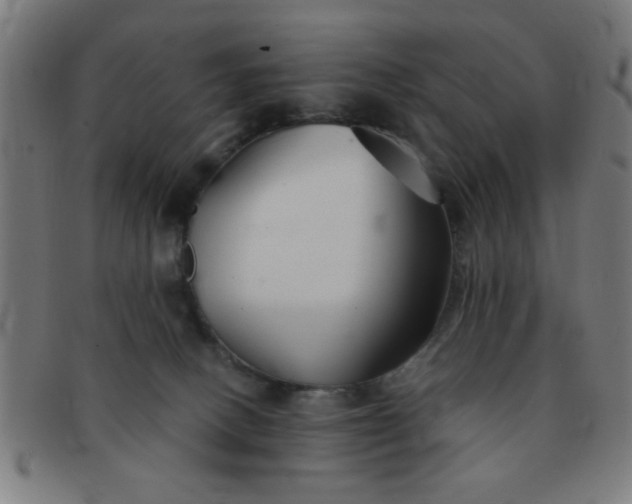 X0000091340082200708241233