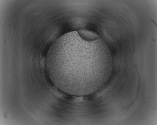 X0000091340083200708241233