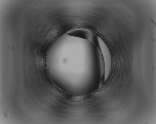 X0000091340084200708241233