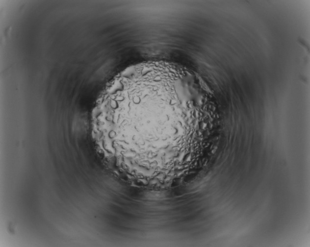 X0000091340085200708241233