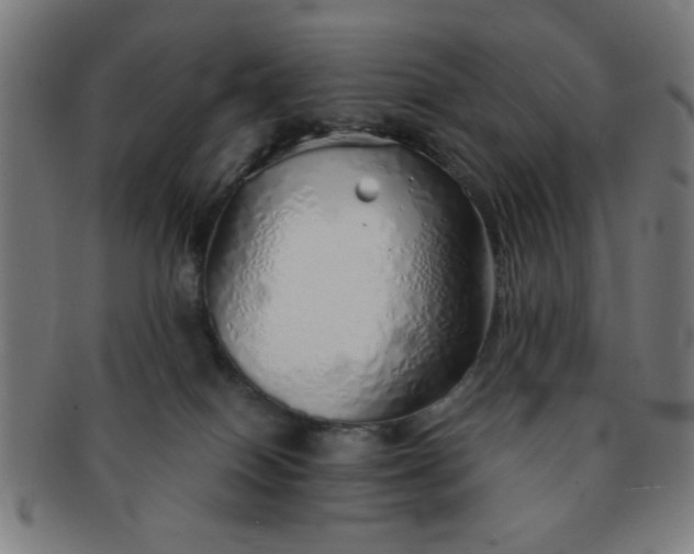 X0000091340086200708241233