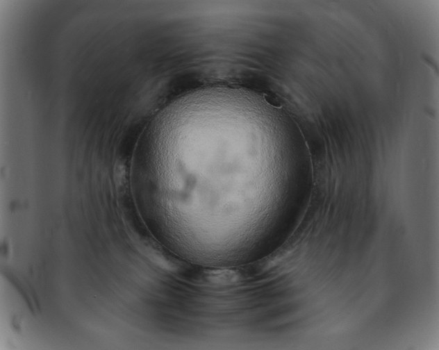 X0000091340087200708241233