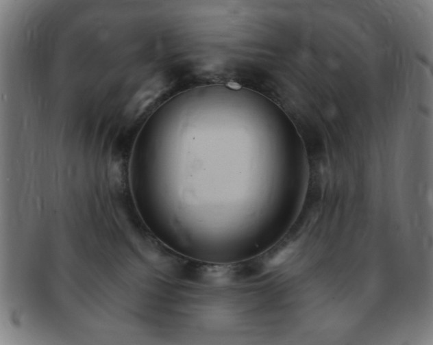 X0000091340088200708241233