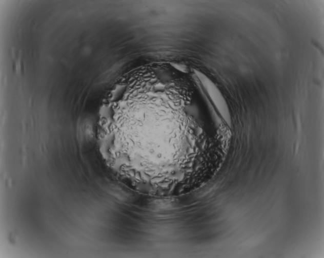 X0000091340089200708241233