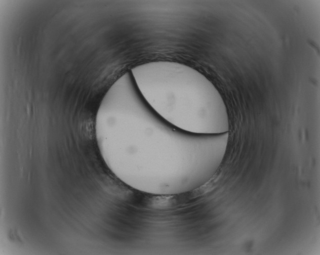 X0000091340090200708241233