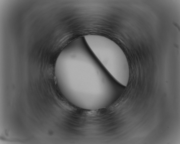 X0000091340092200708241233