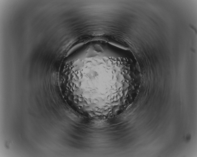 X0000091340093200708241233