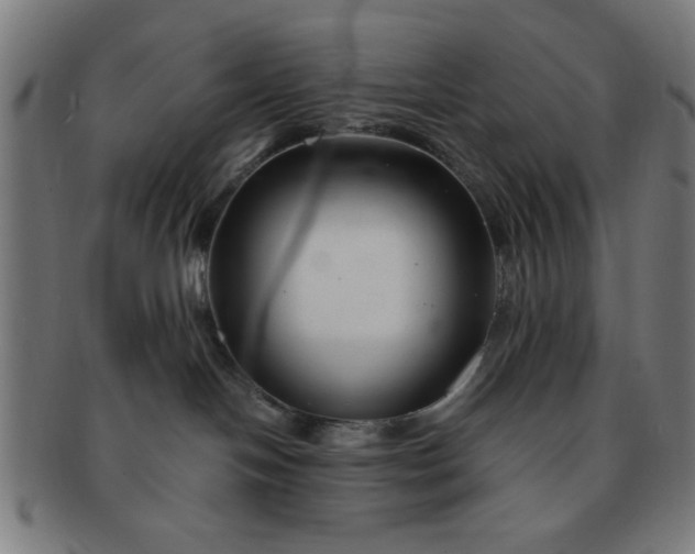 X0000091340094200708241233